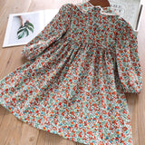 Children Clothing Dress New Lovely  Princess Dress