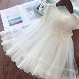 Girls Dress 2020 New Brands Baby Dresses